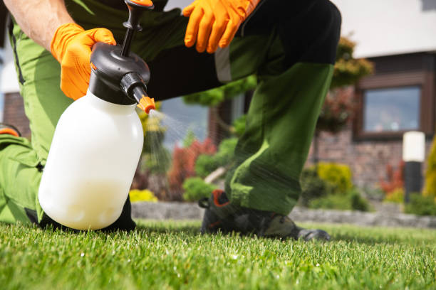Best Exterminator Services  in Roseto, PA