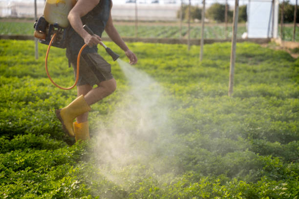 Best Pest Inspection Near Me  in Roseto, PA