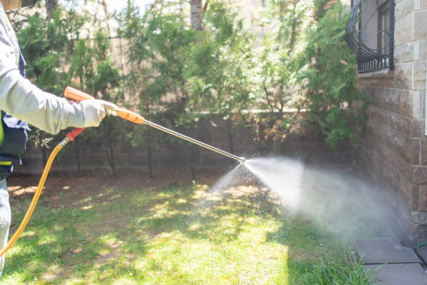 Best Termite Control Services  in Roseto, PA
