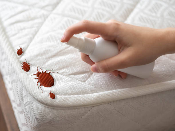 Best Affordable Pest Control Services  in Roseto, PA